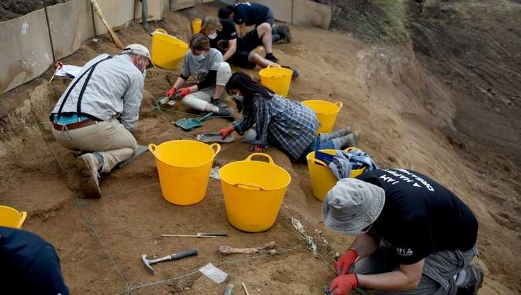 დმანისში პირველყოფილი ადამიანების გავრცელების ახალი კერა გამოვლინდა