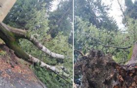 "დღეს ერთი ოჯახი გადარჩა სრულიად ამოწყვეტას" - რა მოხდა ყვარელში