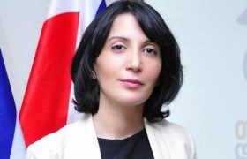 თამარ კეკენაძეს "სტრატეგია აღმაშენებლის" კოორდინატორმა მობილური მოპარა