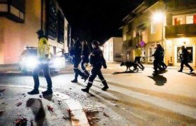 ნორვეგიაში მამაკაცმა მშვილდ-ისრით რამდენიმე კაცი მოკლა