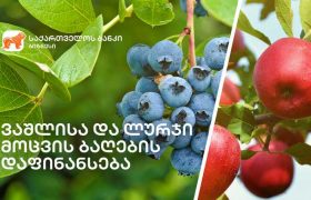 საქართველოს ბანკი მომხმარებელს  შეღავათიან  აგროკრედიტს  სთავაზობს