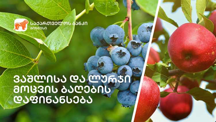 საქართველოს ბანკი მომხმარებელს  შეღავათიან  აგროკრედიტს  სთავაზობს