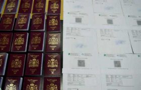 ყალბი კოვიდ პასპორტი 70 ევროდ - 9 პირი პასუხისგებაში მისცეს