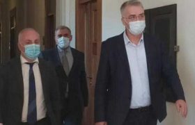 ელენე ხოშტარიასთან "ოცნების" დეპუტატები მივიდნენ