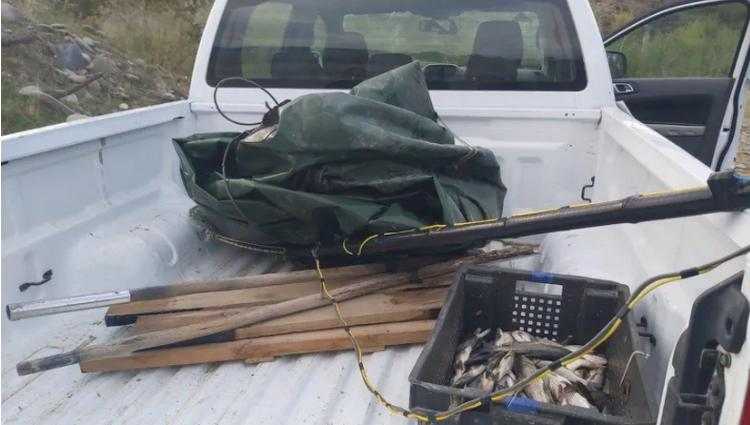 უკანონო თევზჭერის 10 ფაქტი გამოვლინდა