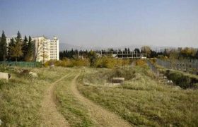 16 მილიონი ლარის ღირებულების მიწის 2 ნაკვეთის მითვისებისთვის რუსეთის მოქალაქე დააკავეს