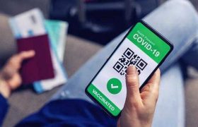 საქართველოში მწვანე პასპორტი 1 დეკემბრიდან ამოქმედდება