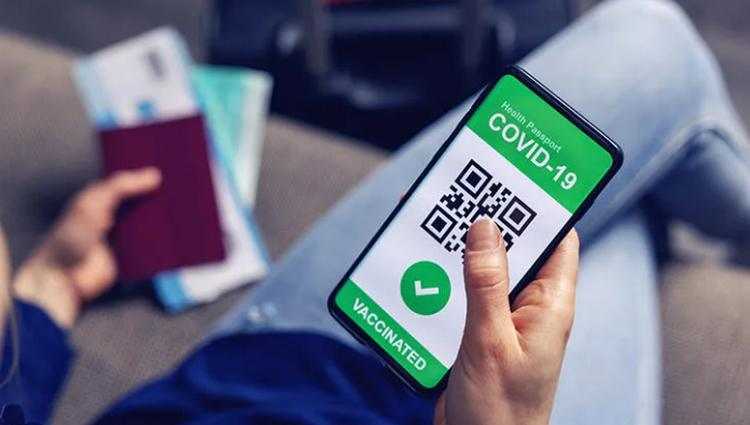 ხვალიდან საქართველოში „მწვანე ბარათის“ სისტემა ამოქმედდება