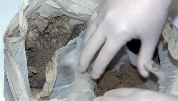 ფონიჭალასა და მარნეულში ნარკოდანაშაულისთვის 2 პირი დააკავეს