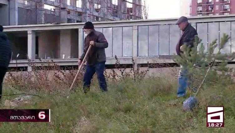 დიდ დიღომში სკვერის აშენებას ითხოვენ - მოსახლეობა ხეებს რგავს