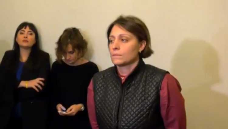 ელენე ხოშტარიამ პარლამენტში შიმშილობა დაიწყო