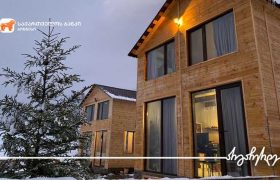 საქართველოს ბანკის მხარდაჭერით ბორჯომში კოტეჯი “Mitarbi Silence” გაიხსნა