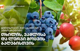 საქართველოს ბანკმა მრავალწლიანი კულტურების დასაფინანსებლად ახალი აგრო  პროდუქტი შექმნა