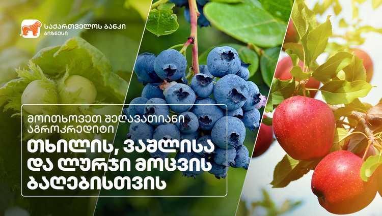 საქართველოს ბანკმა მრავალწლიანი კულტურების დასაფინანსებლად ახალი აგრო  პროდუქტი შექმნა
