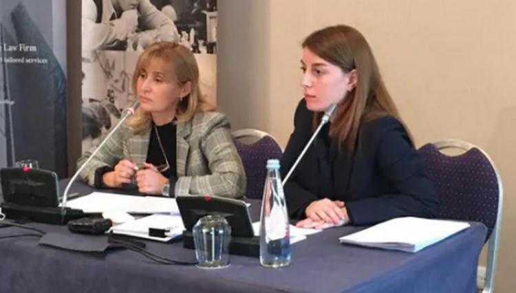 მაია მწარიაშვილი - "ნონა გაფრინდაშვილის საქმის მოსმენა ნეტფლიქსის წინააღმდეგ 24 იანვარს კალიფორნიაში დაინიშნა"