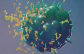 საქართველოში ომიკრონის 2 შემთხვევა დადასტურდა