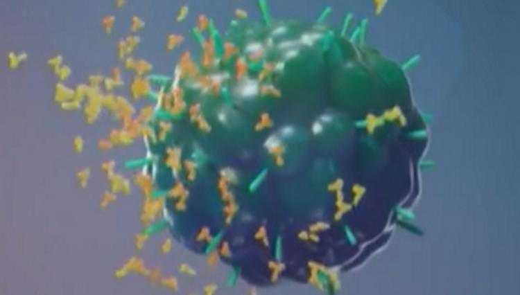 საქართველოში ომიკრონის 2 შემთხვევა დადასტურდა