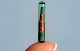 კანქვეშა ჩიპები საქართველოში მომავალი წლიდან გაიყიდება