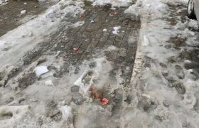 „ქუთაისის ცენტრში პარკინგის თანამშრომელი სასტიკად სცემეს“ „ქუთაისის ცენტრში პარკინგის თანამშრომელი სასტიკად სცემეს“