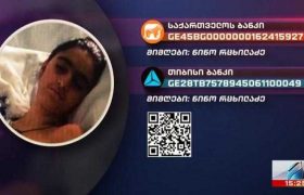 11 წლის ელენე ზაქაიძეს საზოგადოების დახმარება სჭირდება