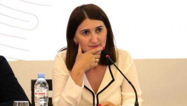 ლონდა თოლორაიამ საკონსტიტუციო სასამართლოში პარლამენტს უჩივლა