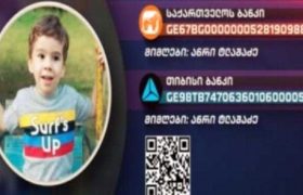 პატარა სოსოს საზოგადოების დახმარება სჭირდება