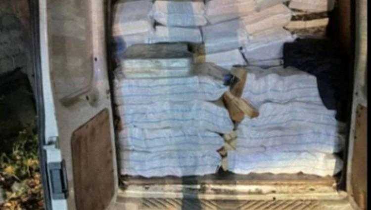 თბილისში ხე-ტყის უკანონო ტრანსპორტირება გამოავლინეს