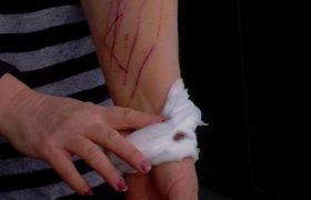 მზია მამრიკიშვილმა ქუთაისში პროკურატურასთან მაკრატლით ხელი დაისერა