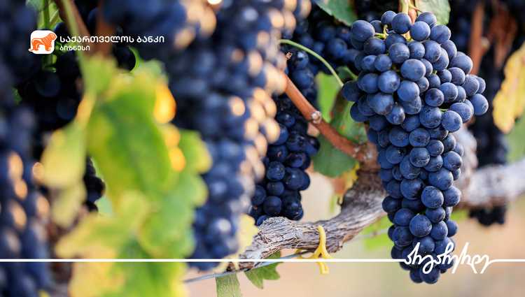 საქართველოს ბანკთან პარტნიორობით „ვაინ გარდსის“ ღვინო ექსპორტზე გავიდა