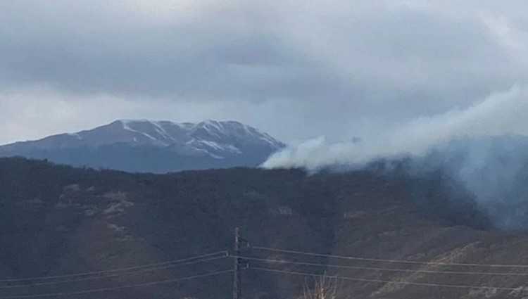  ყვარლის ტყეში ცეცხლის ჩაქრობა ვერ ხერხდება