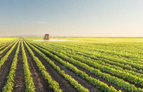 აგრო კრედიტის დანიშნულება