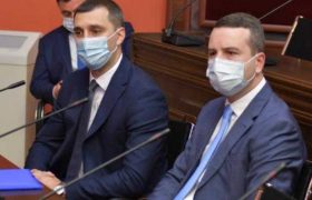 კომიტეტმა გაგნიძესაც დაუჭირა მხარი და კაციტაძესაც - ვინ შეცვლის ლონდა თოლორაიას