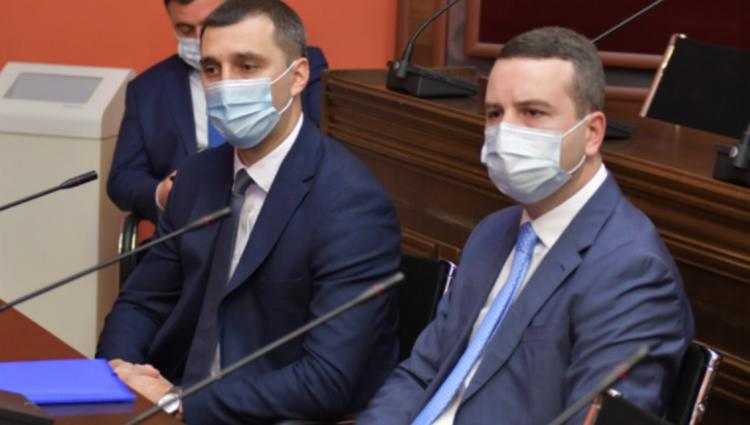 კომიტეტმა გაგნიძესაც დაუჭირა მხარი და კაციტაძესაც - ვინ შეცვლის ლონდა თოლორაიას