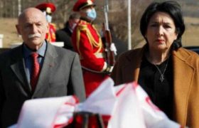 პრეზიდენტის მრჩევლად დავით თევზაძე დაინიშნა