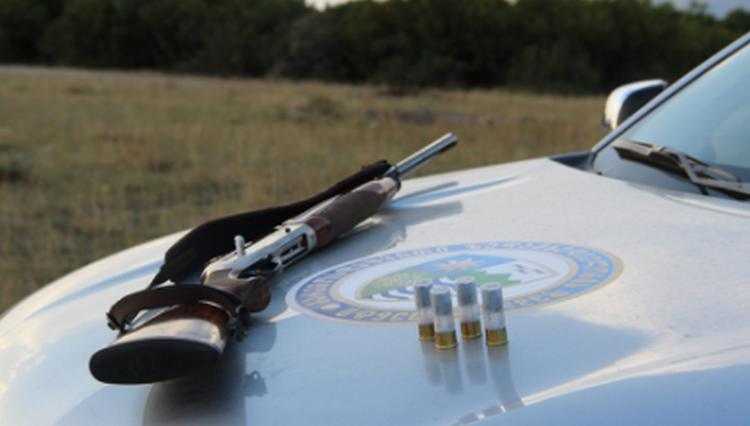 გადამფრენ ფრინველებზე ნადირობა აიკრძალა