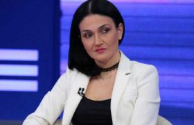 თეა ქუთათელაძე - "მთავრობის შეცდომის გამო ჟოლო მთლიანად განადგურდა, მაყვალი კი დასუსტდა"