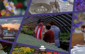 სპეციალურად SOLO მომხმარებლებს - ზურა შევარდნაძის მასტერკლასი გარდენიაში