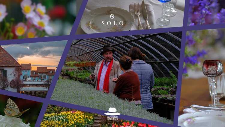 სპეციალურად SOLO მომხმარებლებს - ზურა შევარდნაძის მასტერკლასი გარდენიაში