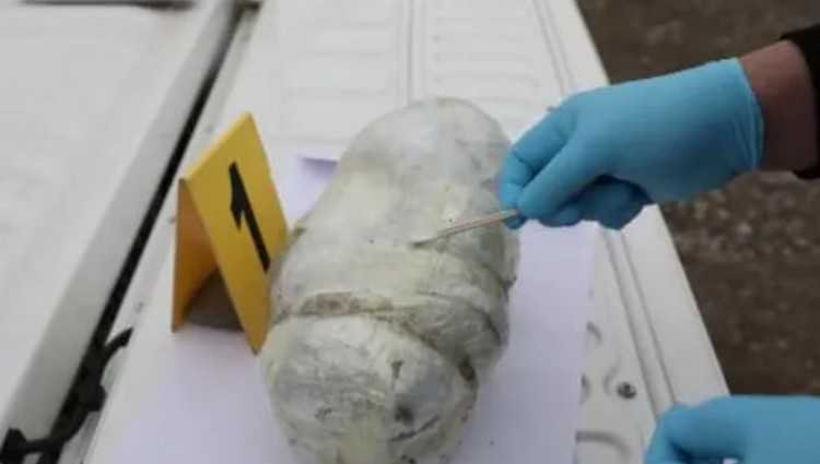 სასაზღვრო პოლიციამ 10 კგ ჰეროინი ამოიღო - დაკავებულია 2 უცხოელი