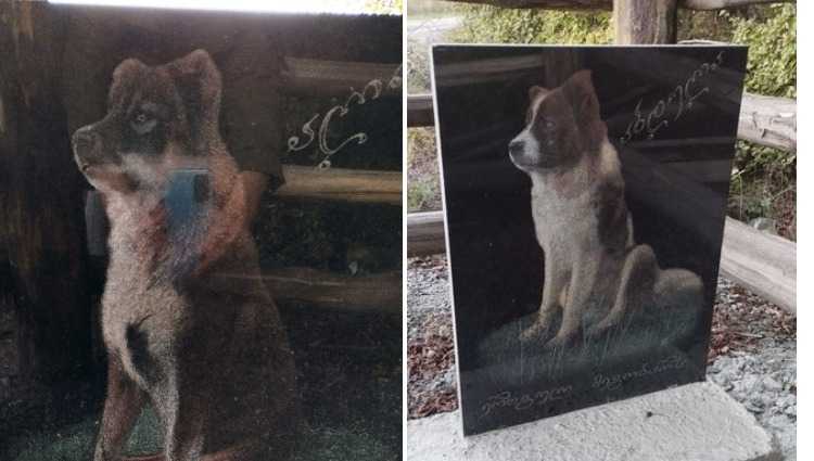 „ერთგული მეგობრების“ სასაფლაო ნაფარეულში